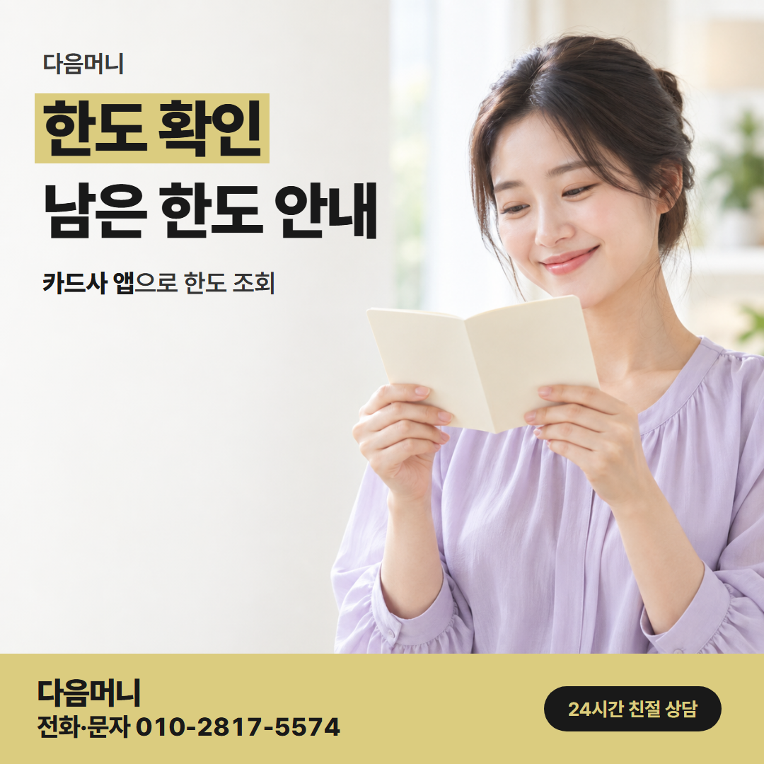 다음머니 운정카드깡 결제하는 날 다시 보는 남은 한도